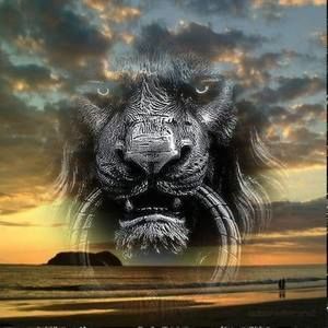 Meet your Posher, Alan